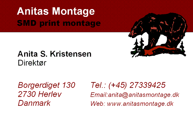 Anitas Montage
